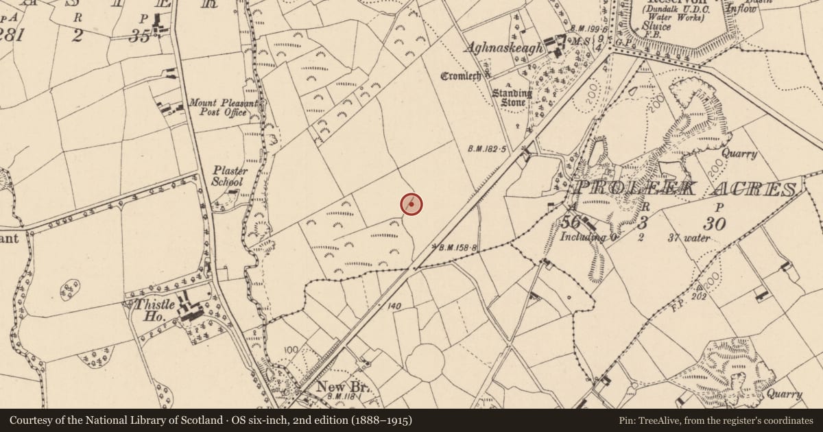 Ordnance Survey six-inch map, 2nd edition (1888–1915) covering the location of Souterrain, Aghnaskeagh, County Louth, with a pin at the register's coordinates