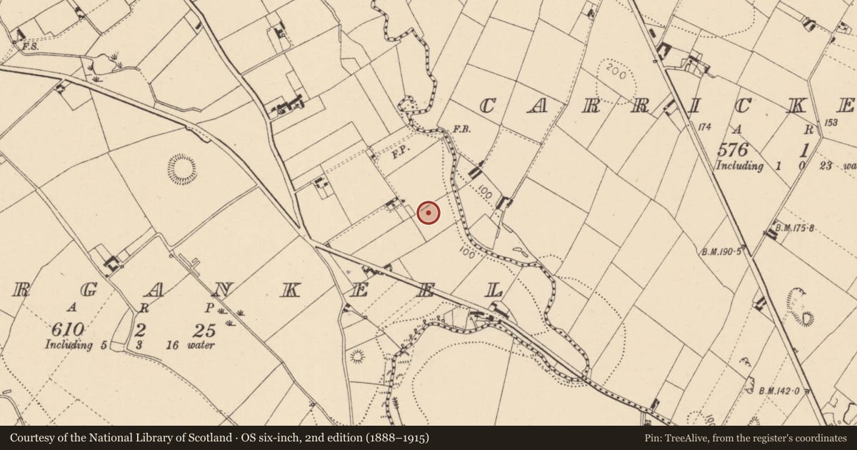 Ordnance Survey six-inch map, 2nd edition (1888–1915) covering the location of Barrow - ring-barrow, Lurgankeel, County Louth, with a pin at the register's coordinates