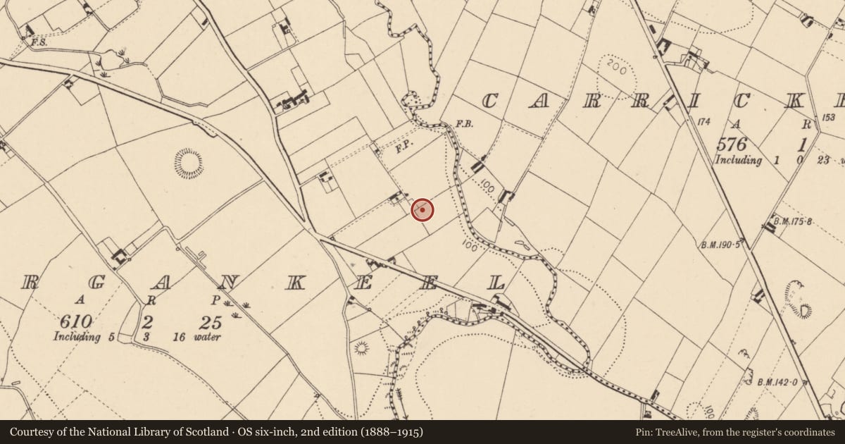Ordnance Survey six-inch map, 2nd edition (1888–1915) covering the location of Barrow - ring-barrow, Lurgankeel, County Louth, with a pin at the register's coordinates