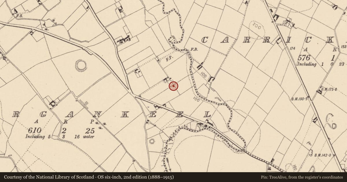 Ordnance Survey six-inch map, 2nd edition (1888–1915) covering the location of Barrow - ring-barrow, Lurgankeel, County Louth, with a pin at the register's coordinates