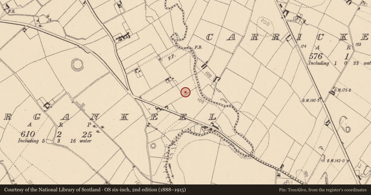 Ordnance Survey six-inch map, 2nd edition (1888–1915) covering the location of Barrow - ring-barrow, Lurgankeel, County Louth, with a pin at the register's coordinates