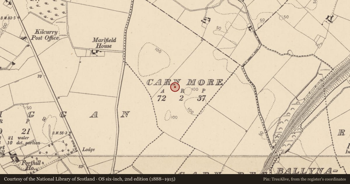 Ordnance Survey six-inch map, 2nd edition (1888–1915) covering the location of Habitation site, Carn More, County Louth, with a pin at the register's coordinates