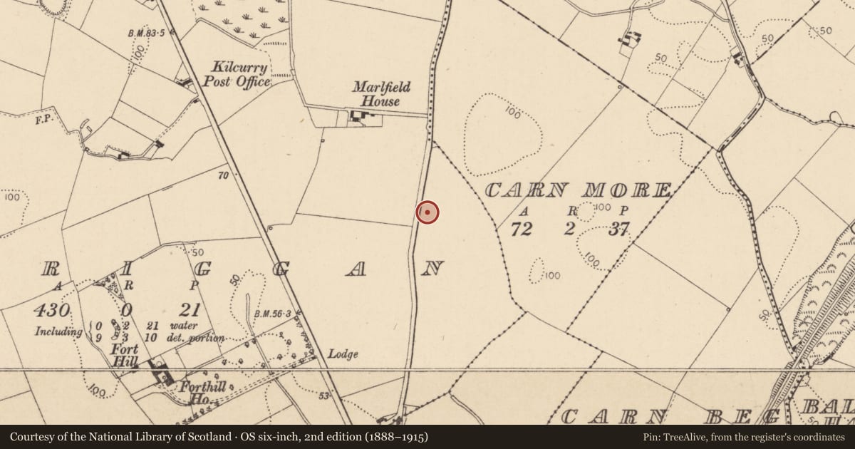 Ordnance Survey six-inch map, 2nd edition (1888–1915) covering the location of Excavation - miscellaneous, Balriggan, County Louth, with a pin at the register's coordinates