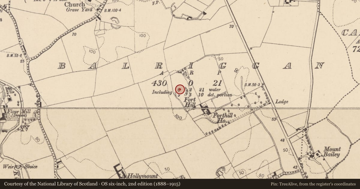 Ordnance Survey six-inch map, 2nd edition (1888–1915) covering the location of Excavation - miscellaneous, Balriggan, County Louth, with a pin at the register's coordinates