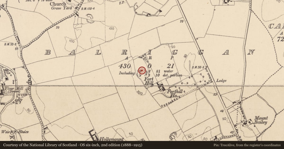 Ordnance Survey six-inch map, 2nd edition (1888–1915) covering the location of House - Iron Age, Balriggan, County Louth, with a pin at the register's coordinates
