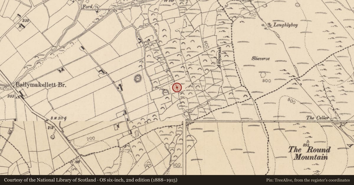 Ordnance Survey six-inch map, 2nd edition (1888–1915) covering the location of Enclosure, Ballymakellett, County Louth, with a pin at the register's coordinates