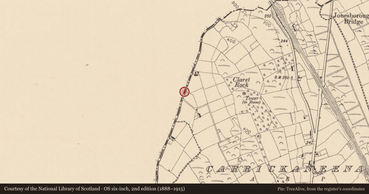 Ordnance Survey six-inch map, 2nd edition (1888–1915) covering the location of Battlefield, Carrickaneena, County Louth, with a pin at the register's coordinates