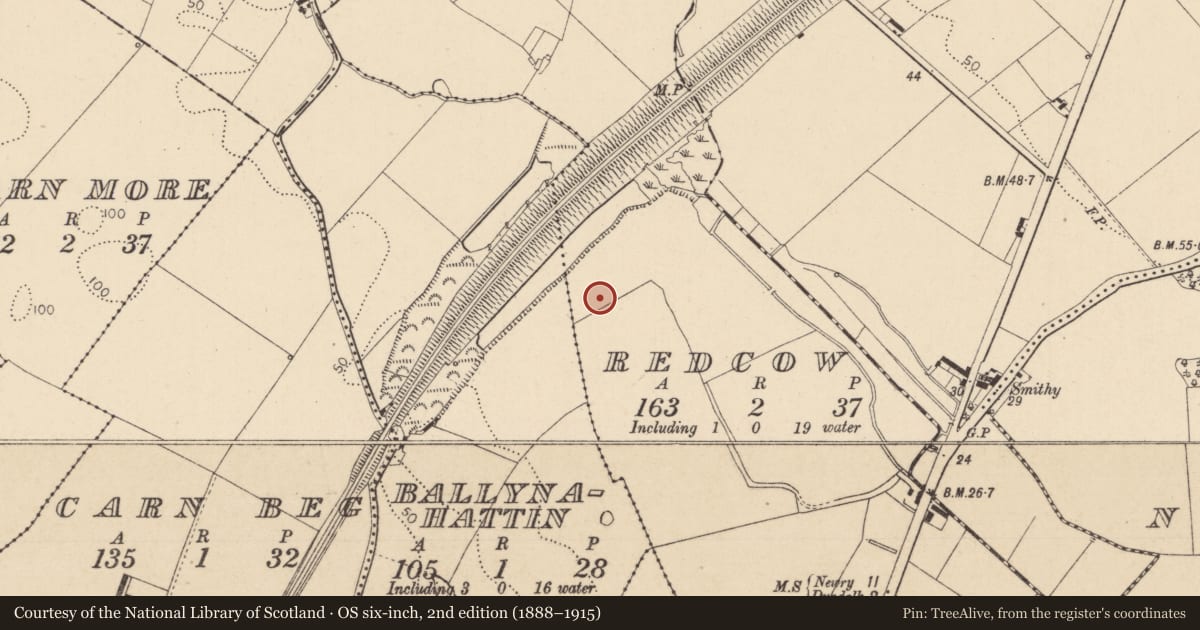 Ordnance Survey six-inch map, 2nd edition (1888–1915) covering the location of Ring-ditch, Redcow, County Louth, with a pin at the register's coordinates