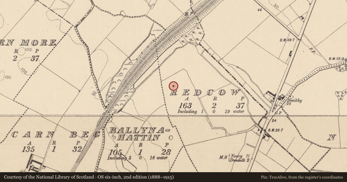 Ordnance Survey six-inch map, 2nd edition (1888–1915) covering the location of Ring-ditch, Redcow, County Louth, with a pin at the register's coordinates