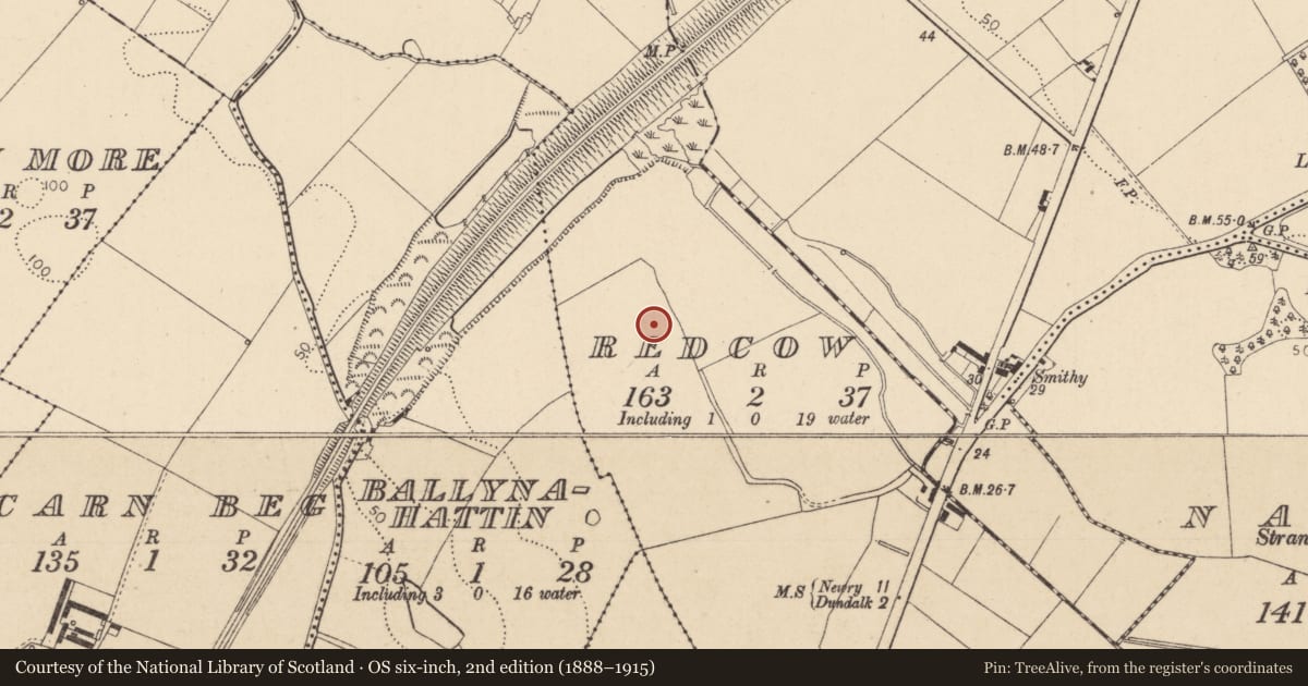 Ordnance Survey six-inch map, 2nd edition (1888–1915) covering the location of Ring-ditch, Redcow, County Louth, with a pin at the register's coordinates