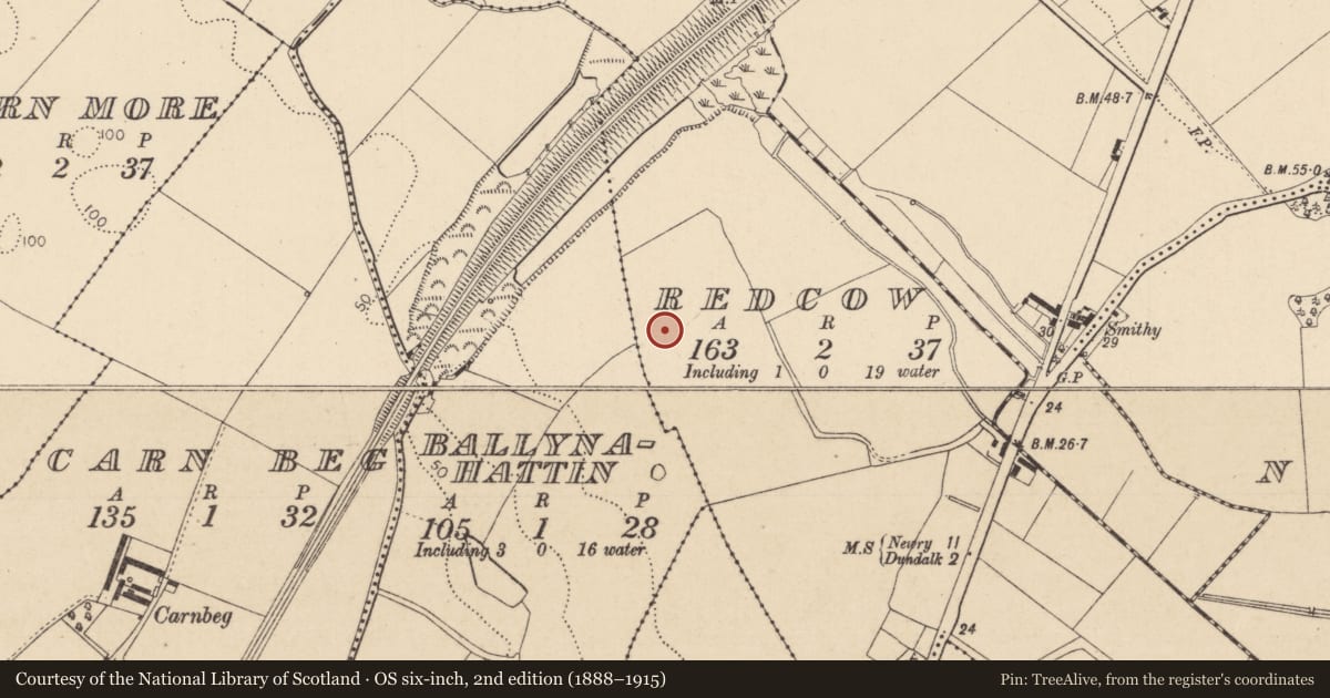 Ordnance Survey six-inch map, 2nd edition (1888–1915) covering the location of Ring-ditch, Redcow, County Louth, with a pin at the register's coordinates