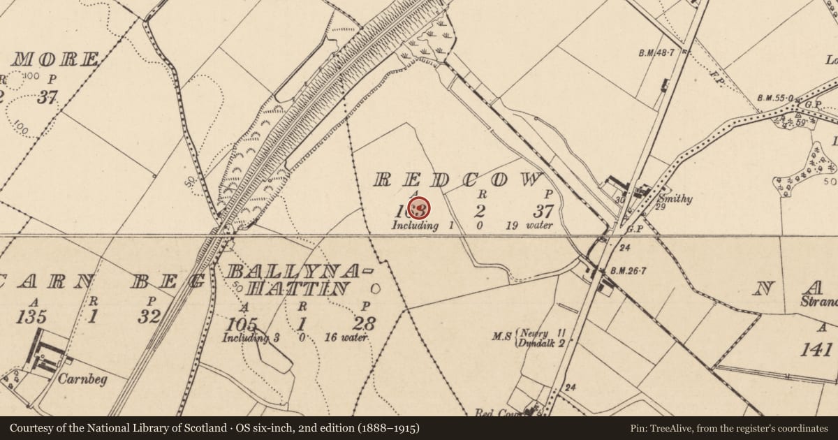 Ordnance Survey six-inch map, 2nd edition (1888–1915) covering the location of Enclosure, Redcow, County Louth, with a pin at the register's coordinates