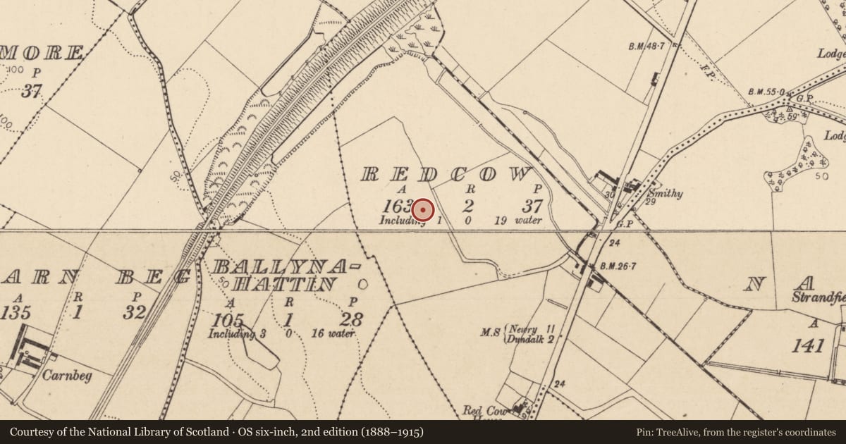 Ordnance Survey six-inch map, 2nd edition (1888–1915) covering the location of Ring-ditch, Redcow, County Louth, with a pin at the register's coordinates