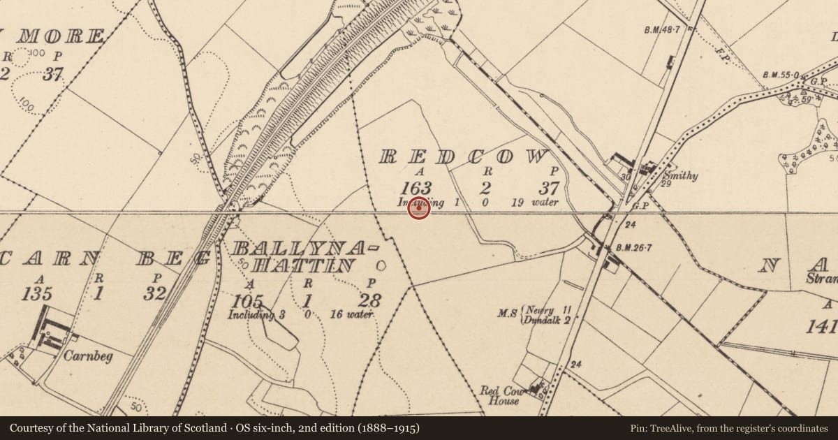 Ordnance Survey six-inch map, 2nd edition (1888–1915) covering the location of Enclosure, Redcow, County Louth, with a pin at the register's coordinates