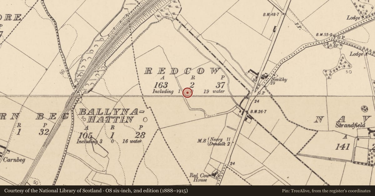 Ordnance Survey six-inch map, 2nd edition (1888–1915) covering the location of Ring-ditch, Redcow, County Louth, with a pin at the register's coordinates