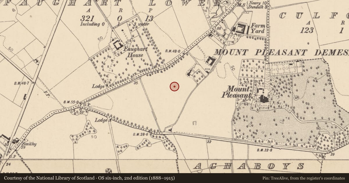 Ordnance Survey six-inch map, 2nd edition (1888–1915) covering the location of Enclosure, Aghaboys, County Louth, with a pin at the register's coordinates