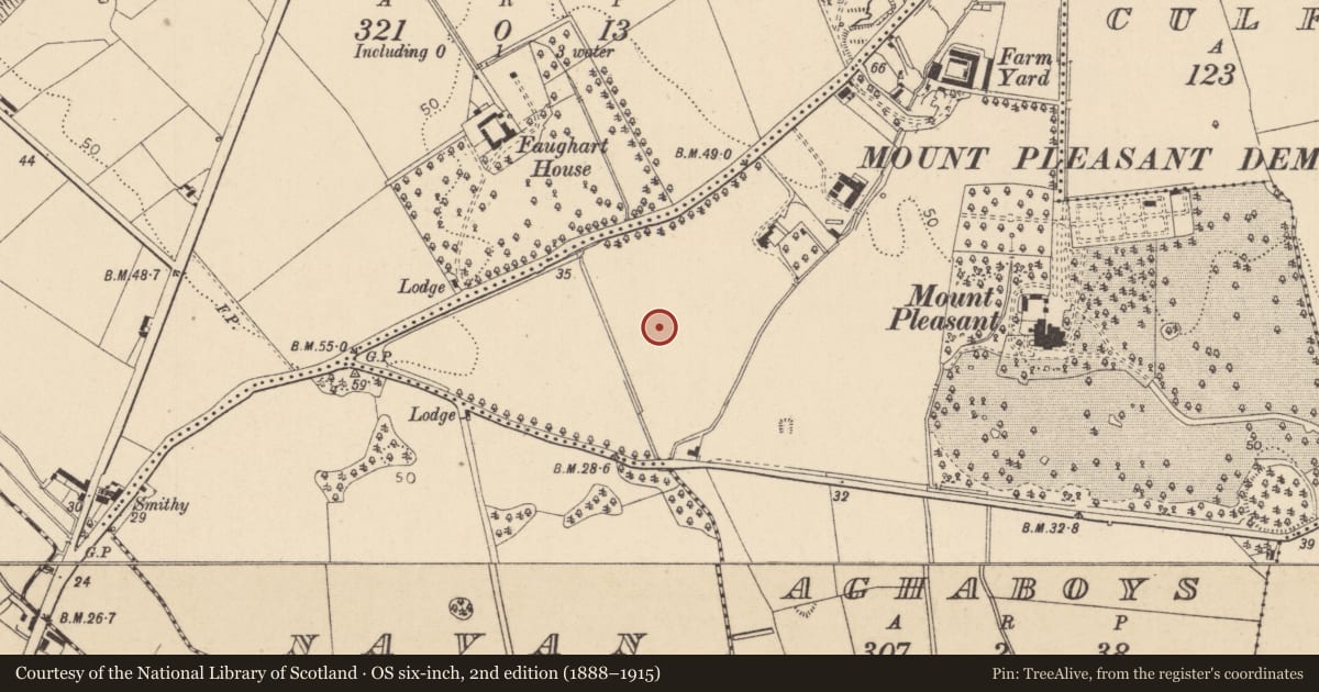 Ordnance Survey six-inch map, 2nd edition (1888–1915) covering the location of Enclosure, Aghaboys, County Louth, with a pin at the register's coordinates
