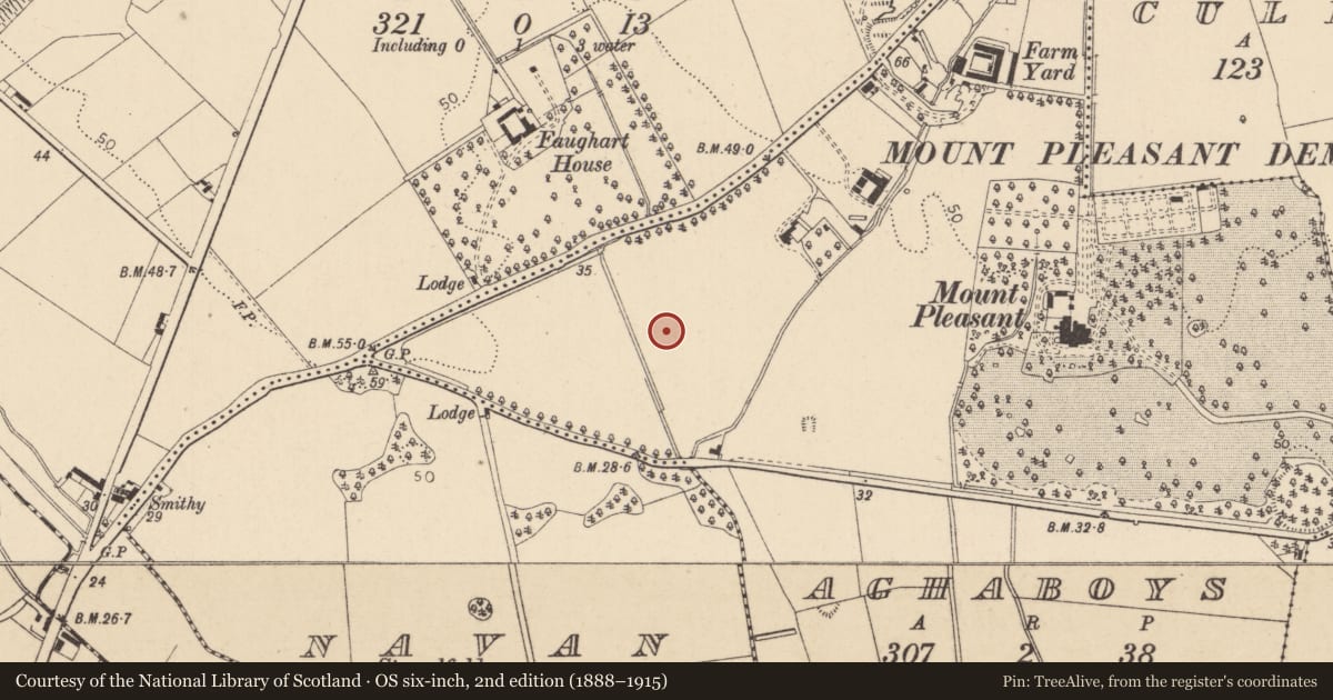 Ordnance Survey six-inch map, 2nd edition (1888–1915) covering the location of Enclosure, Aghaboys, County Louth, with a pin at the register's coordinates