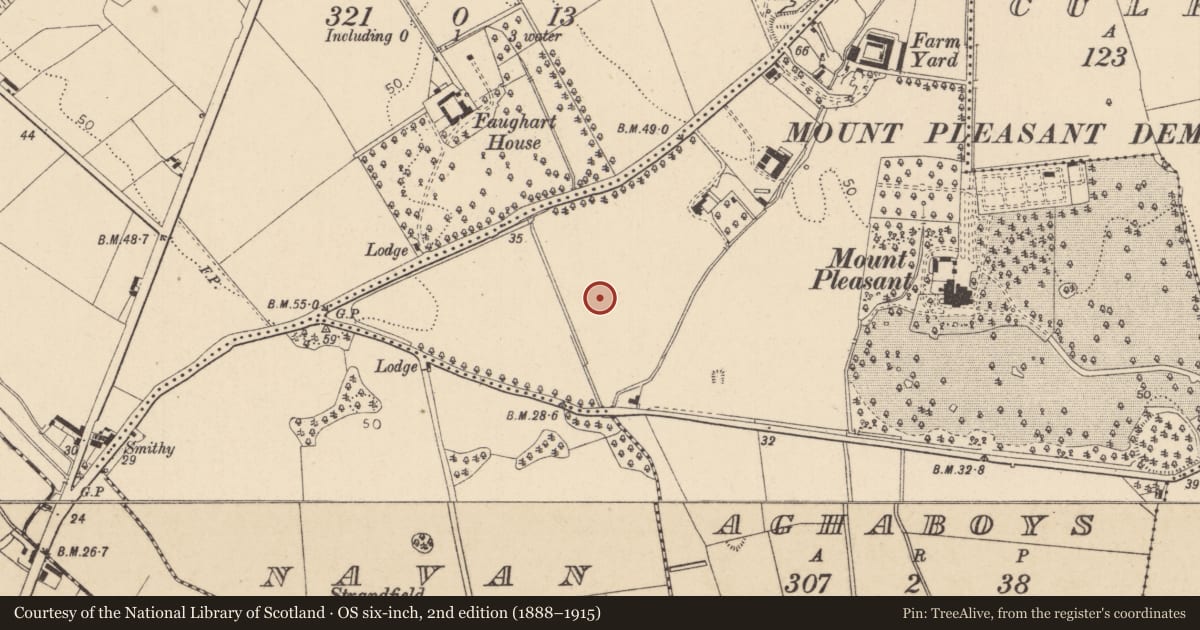 Ordnance Survey six-inch map, 2nd edition (1888–1915) covering the location of Enclosure, Aghaboys, County Louth, with a pin at the register's coordinates