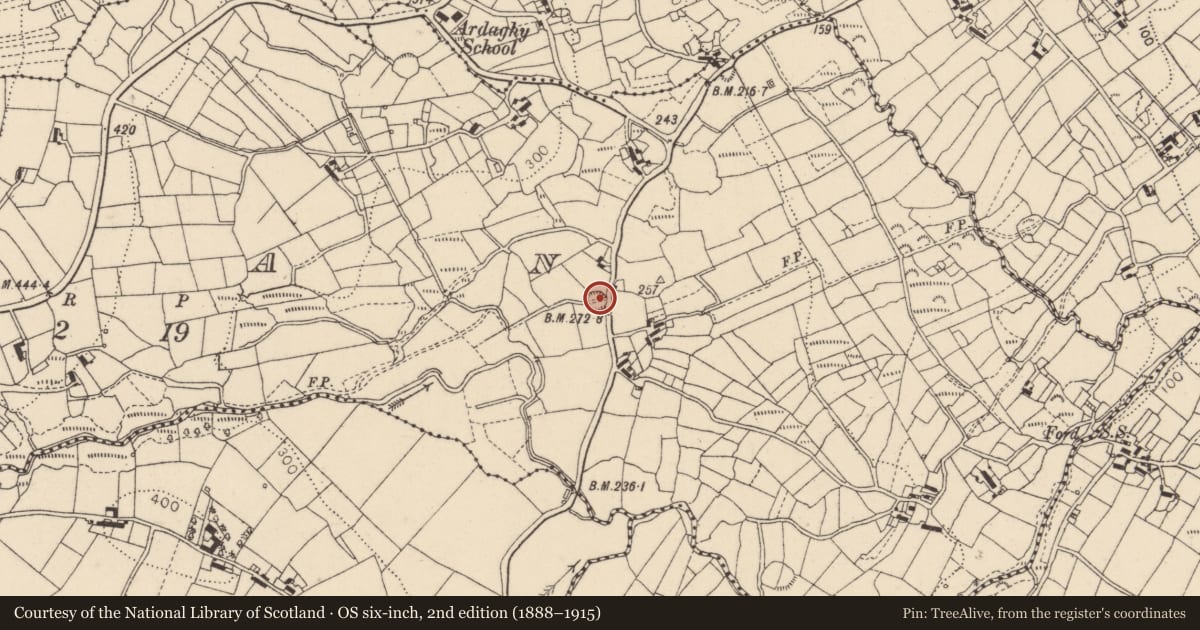 Ordnance Survey six-inch map, 2nd edition (1888–1915) covering the location of Ringfort - rath, Bavan, County Louth, with a pin at the register's coordinates