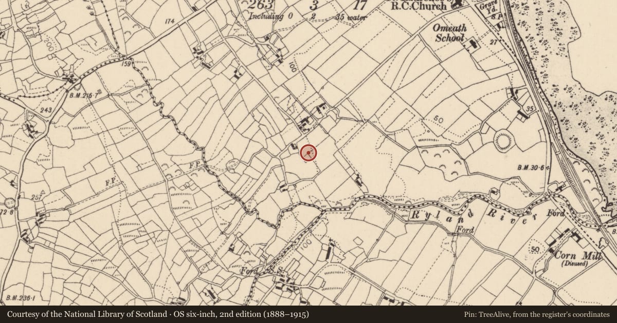 Ordnance Survey six-inch map, 2nd edition (1888–1915) covering the location of Enclosure, Knocknagoran, County Louth, with a pin at the register's coordinates