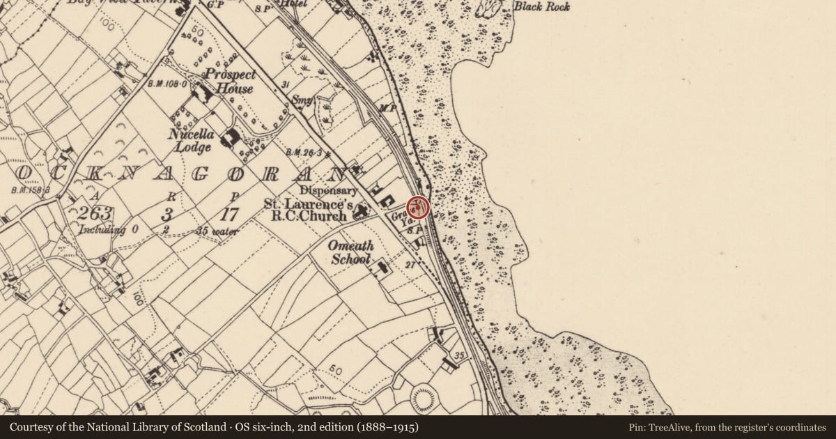 Ordnance Survey six-inch map, 2nd edition (1888–1915) covering the location of Church, Knocknagoran, County Louth, with a pin at the register's coordinates