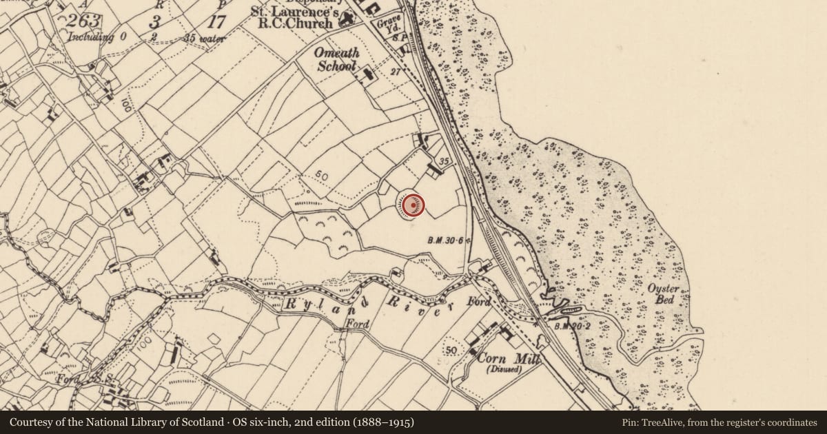 Ordnance Survey six-inch map, 2nd edition (1888–1915) covering the location of Ringfort - rath, Knocknagoran, County Louth, with a pin at the register's coordinates