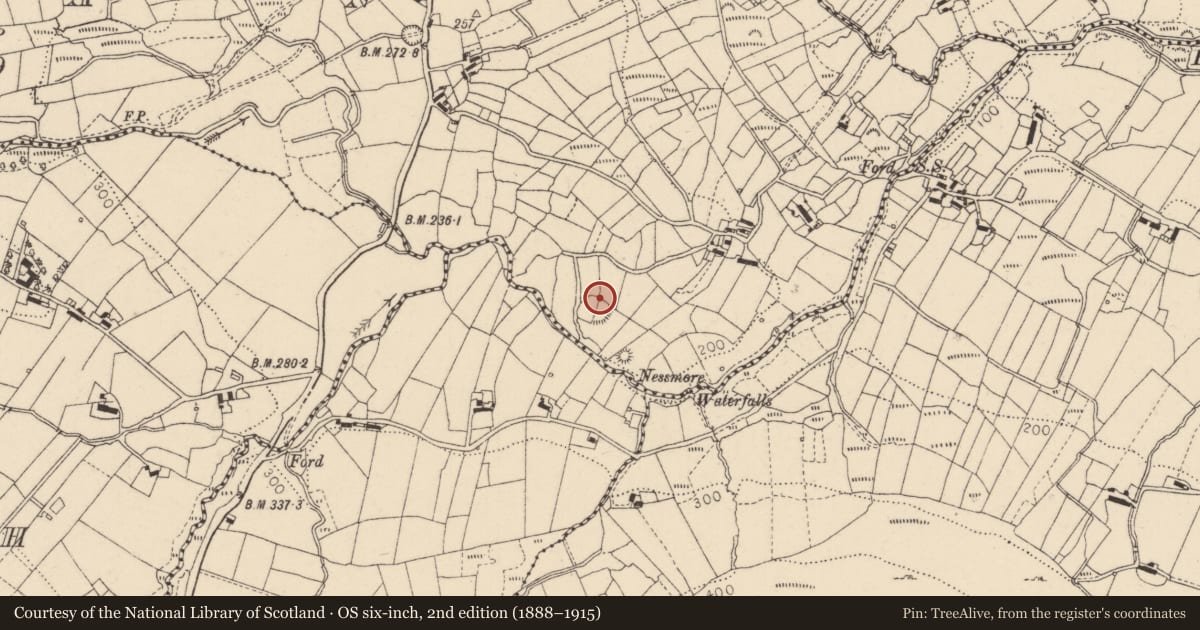 Ordnance Survey six-inch map, 2nd edition (1888–1915) covering the location of Ringfort - rath, Bavan, County Louth, with a pin at the register's coordinates