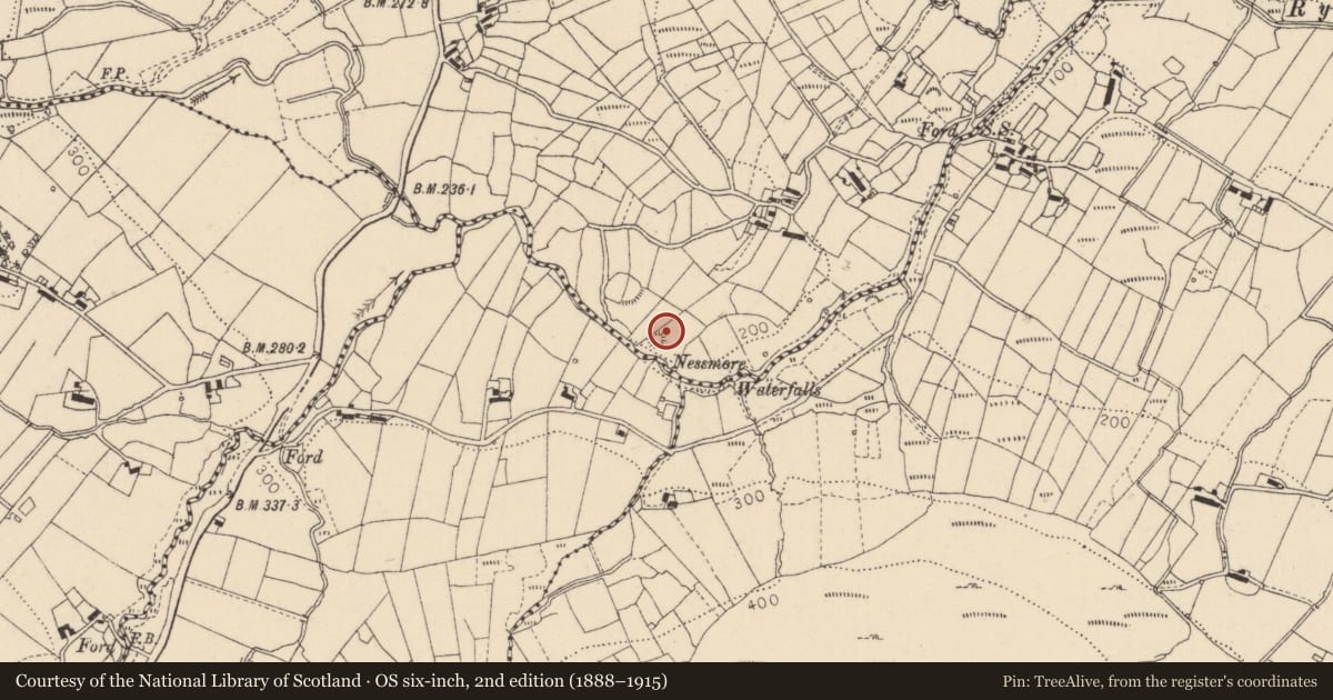 Ordnance Survey six-inch map, 2nd edition (1888–1915) covering the location of Hut site, Bavan, County Louth, with a pin at the register's coordinates