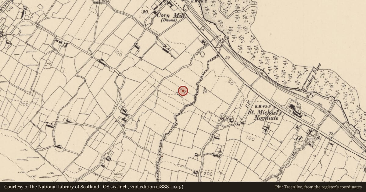 Ordnance Survey six-inch map, 2nd edition (1888–1915) covering the location of Ringfort - rath, Ballinteskin, County Louth, with a pin at the register's coordinates