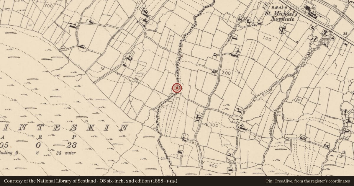 Ordnance Survey six-inch map, 2nd edition (1888–1915) covering the location of Promontory fort - inland, Ballinteskin, County Louth, with a pin at the register's coordinates