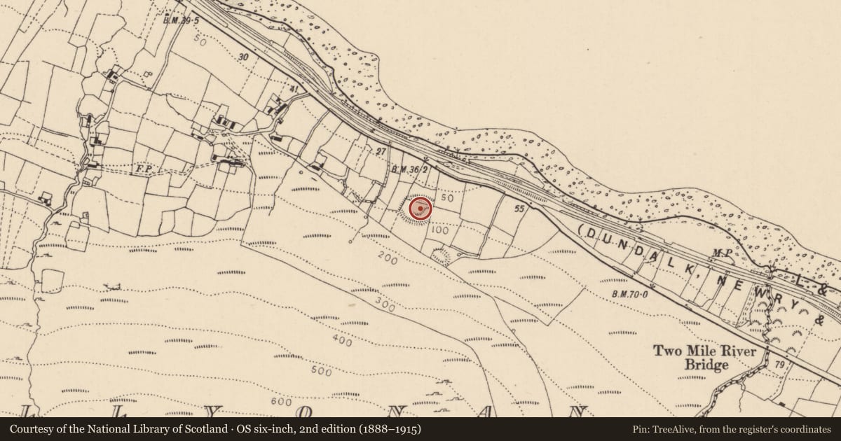 Ordnance Survey six-inch map, 2nd edition (1888–1915) covering the location of Ringfort - rath, Ballyonan, County Louth, with a pin at the register's coordinates