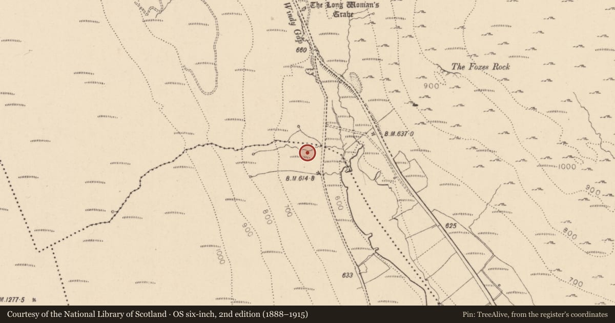 Ordnance Survey six-inch map, 2nd edition (1888–1915) covering the location of Hut site, Moneycrockroe, County Louth, with a pin at the register's coordinates
