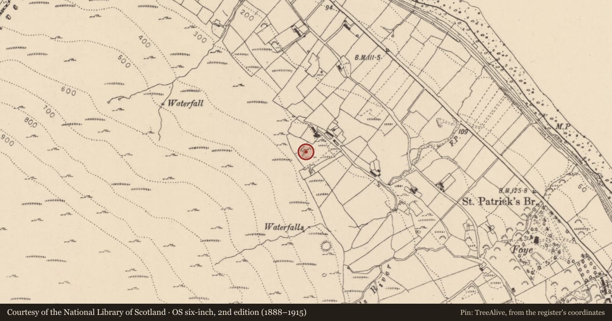 Ordnance Survey six-inch map, 2nd edition (1888–1915) covering the location of Ringfort - rath, Liberties of Carlingford, County Louth, with a pin at the register's coordinates