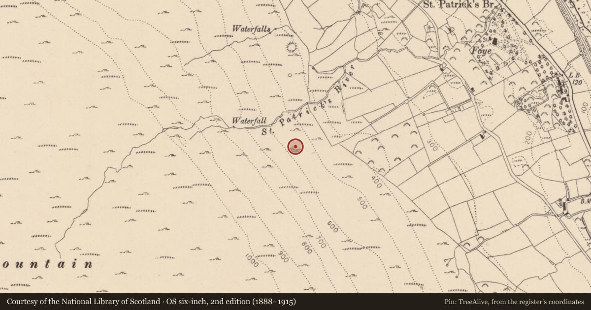 Ordnance Survey six-inch map, 2nd edition (1888–1915) covering the location of Hut site, Liberties of Carlingford, County Louth, with a pin at the register's coordinates