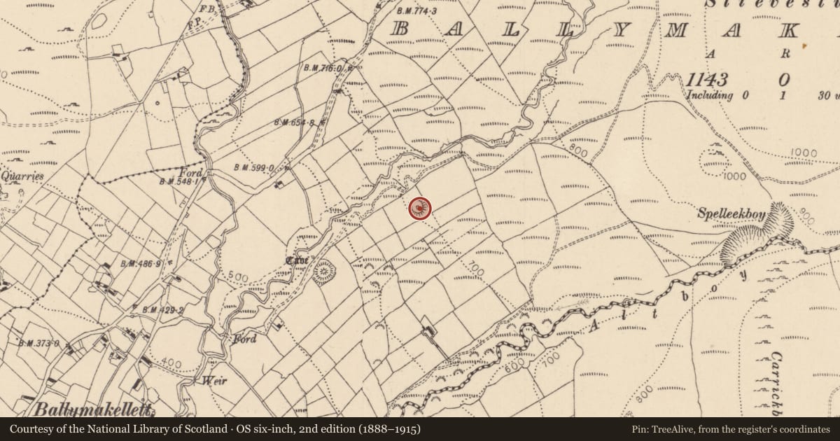 Ordnance Survey six-inch map, 2nd edition (1888–1915) covering the location of Hut site, Ballymakellett, County Louth, with a pin at the register's coordinates