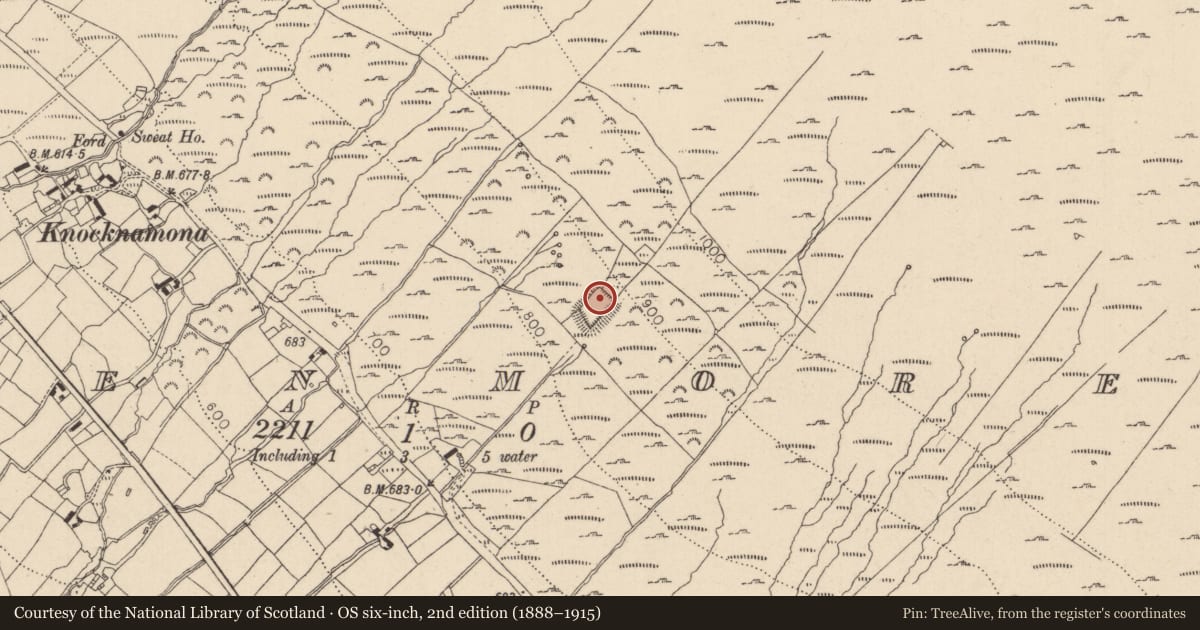 Ordnance Survey six-inch map, 2nd edition (1888–1915) covering the location of Enclosure, Glenmore, County Louth, with a pin at the register's coordinates