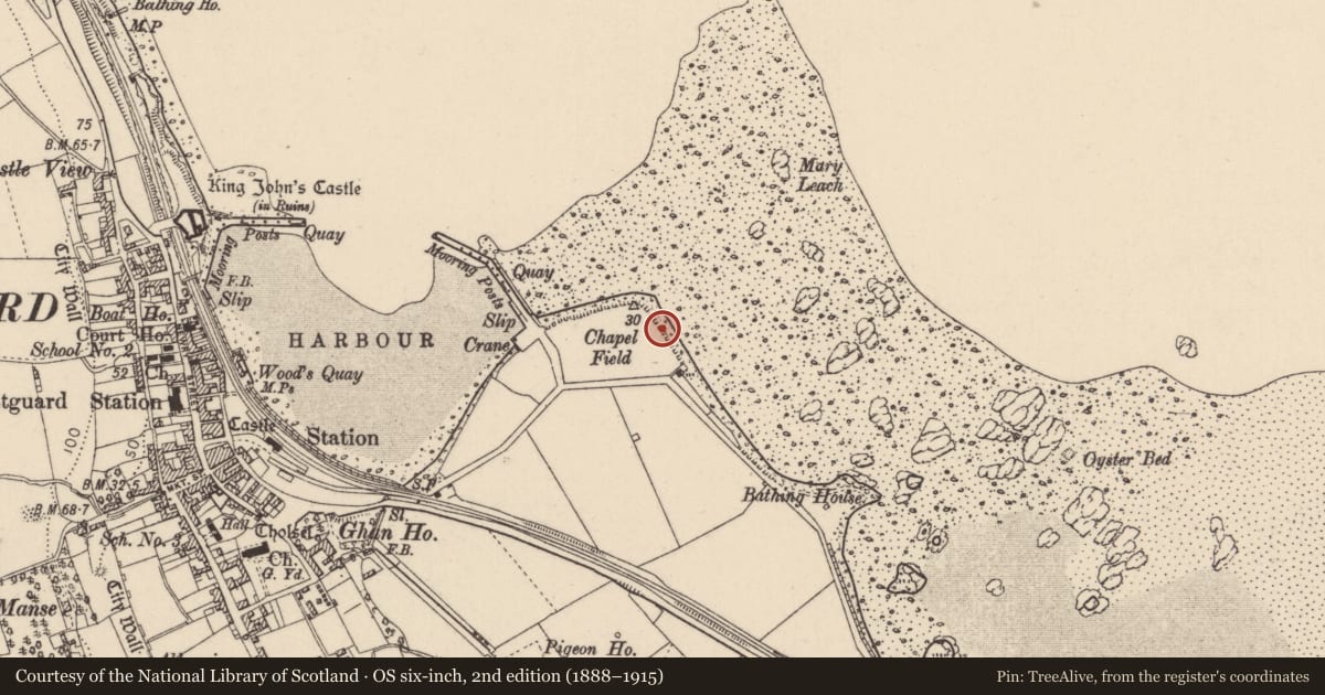 Ordnance Survey six-inch map, 2nd edition (1888–1915) covering the location of Church, Liberties of Carlingford, County Louth, with a pin at the register's coordinates