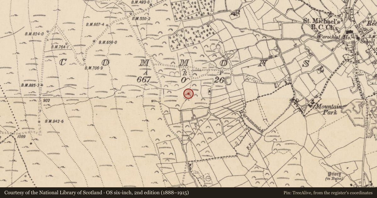 Ordnance Survey six-inch map, 2nd edition (1888–1915) covering the location of Ringfort - rath, Commons (Carlingford Par.), County Louth, with a pin at the register's coordinates
