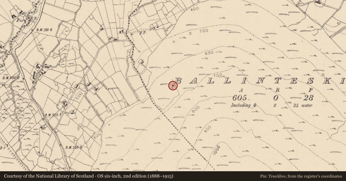 Ordnance Survey six-inch map, 2nd edition (1888–1915) covering the location of Ringfort - rath, Ballinteskin, County Louth, with a pin at the register's coordinates