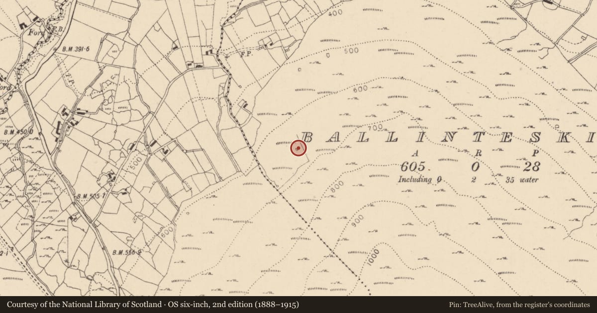 Ordnance Survey six-inch map, 2nd edition (1888–1915) covering the location of Hut site, Ballinteskin, County Louth, with a pin at the register's coordinates