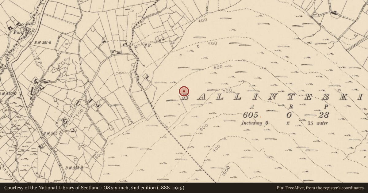 Ordnance Survey six-inch map, 2nd edition (1888–1915) covering the location of Field system, Ballinteskin, County Louth, with a pin at the register's coordinates