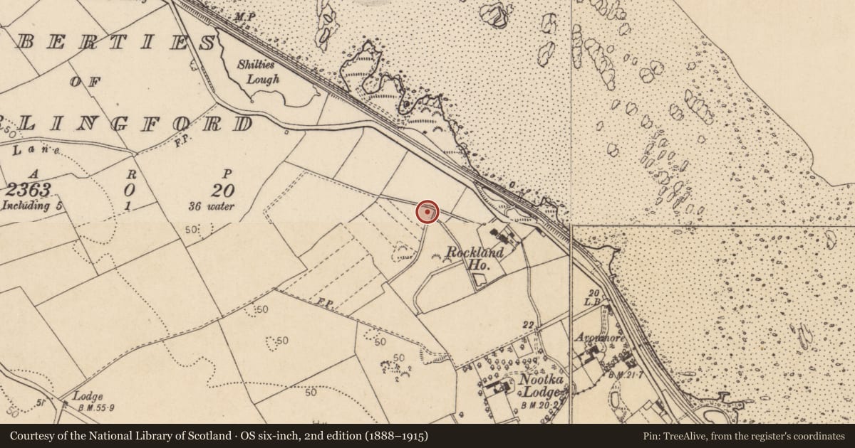 Ordnance Survey six-inch map, 2nd edition (1888–1915) covering the location of Midden, Liberties of Carlingford, County Louth, with a pin at the register's coordinates