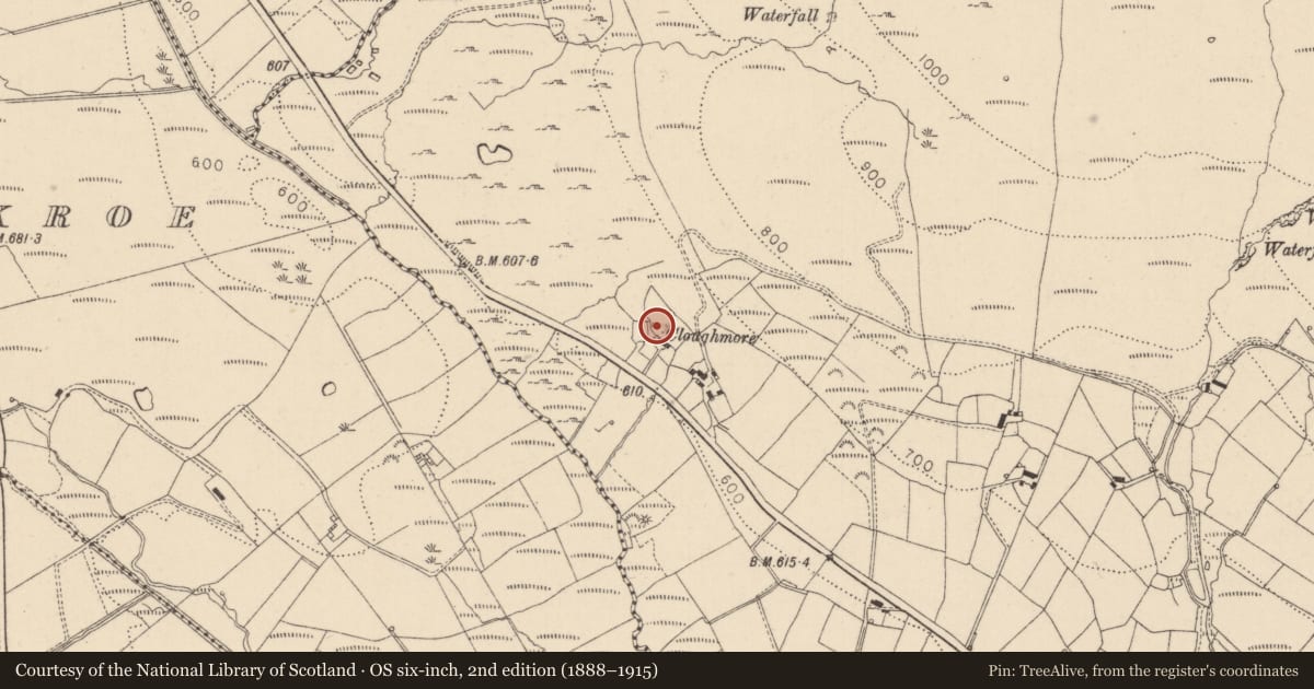 Ordnance Survey six-inch map, 2nd edition (1888–1915) covering the location of Mass-rock, Glenmore, County Louth, with a pin at the register's coordinates