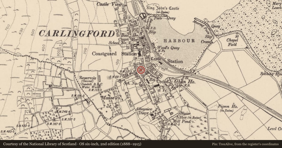 Ordnance Survey six-inch map, 2nd edition (1888–1915) covering the location of Historic town, Liberties of Carlingford, County Louth, with a pin at the register's coordinates