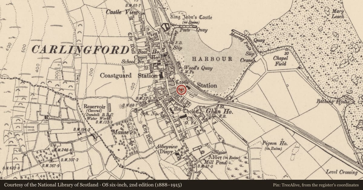 Ordnance Survey six-inch map, 2nd edition (1888–1915) covering the location of House - medieval, Liberties of Carlingford, County Louth, with a pin at the register's coordinates