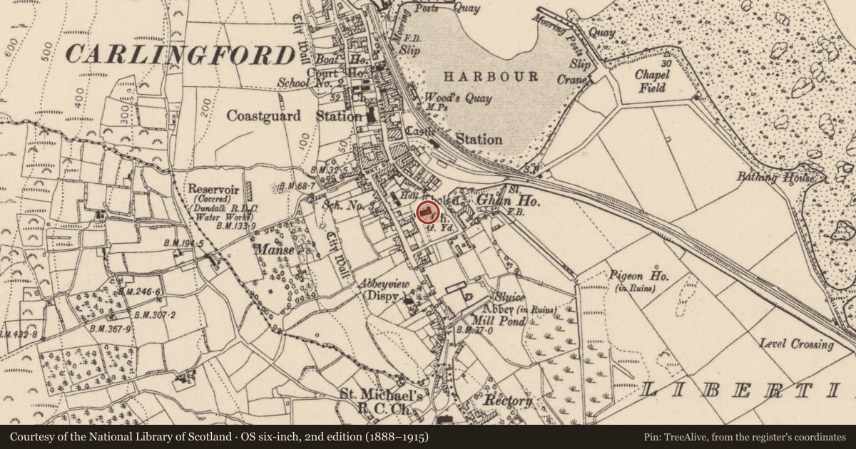 Ordnance Survey six-inch map, 2nd edition (1888–1915) covering the location of Graveslab, Liberties of Carlingford, County Louth, with a pin at the register's coordinates