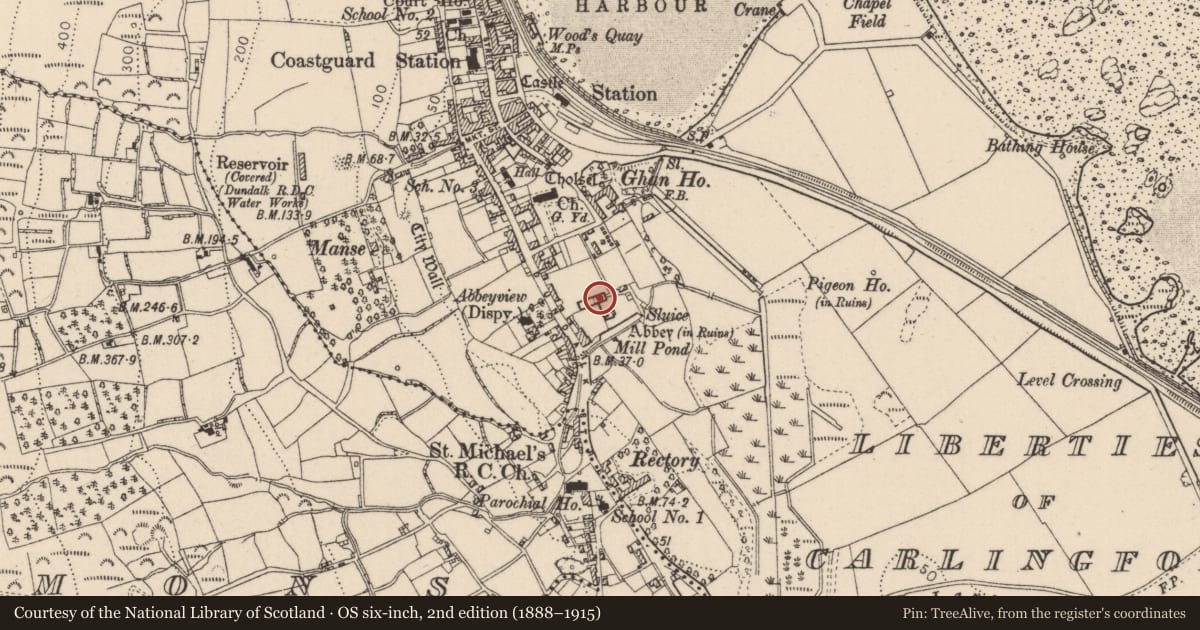 Ordnance Survey six-inch map, 2nd edition (1888–1915) covering the location of Religious house - Dominican friars, Liberties of Carlingford, County Louth, with a pin at the register's coordinates