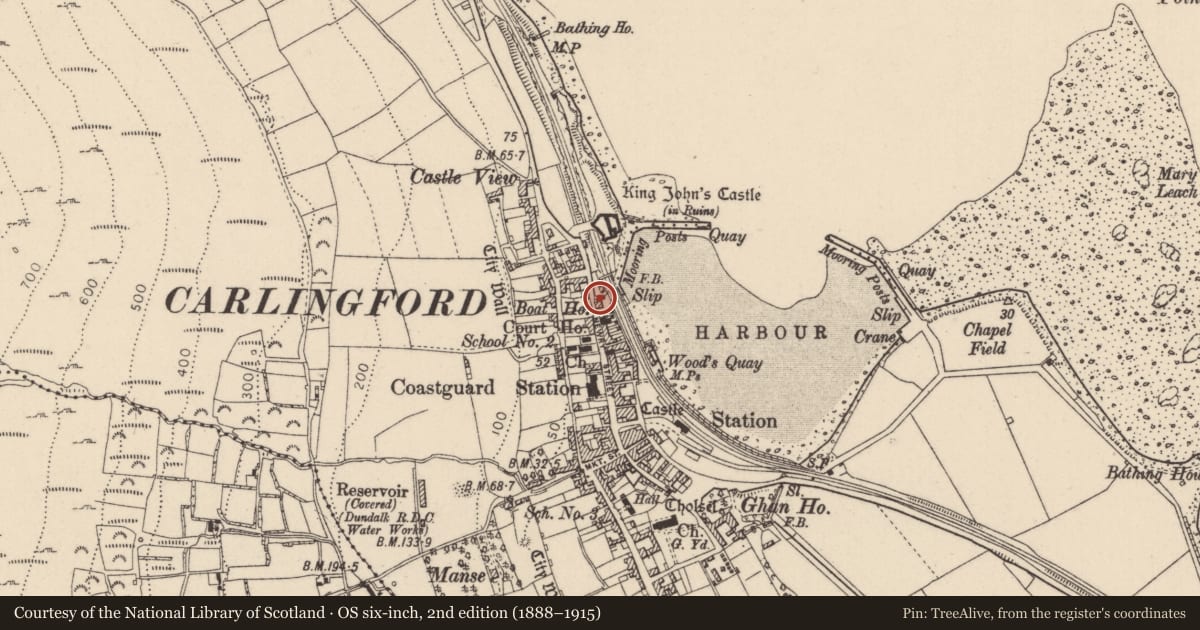Ordnance Survey six-inch map, 2nd edition (1888–1915) covering the location of Castle - tower house, Liberties of Carlingford, County Louth, with a pin at the register's coordinates