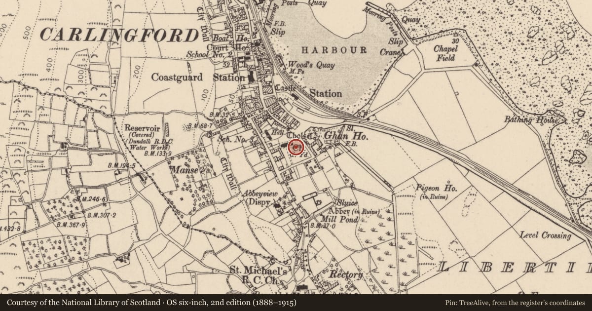 Ordnance Survey six-inch map, 2nd edition (1888–1915) covering the location of Graveyard, Liberties of Carlingford, County Louth, with a pin at the register's coordinates